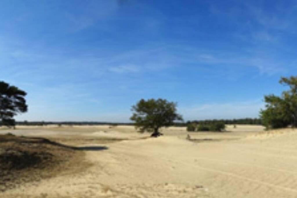 Gezellig Chalet Op De Veluwe Doornspijk Luaran gambar